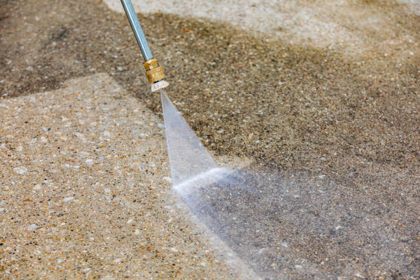 Best Animal Enclosure Cleaning  in Canal Winchester, OH